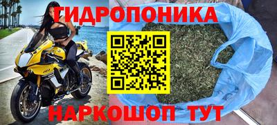 бошки Балашиха