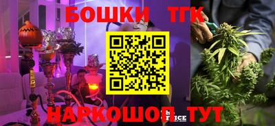 индика Балахна