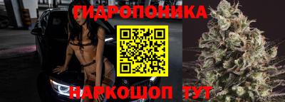 индика Балахна