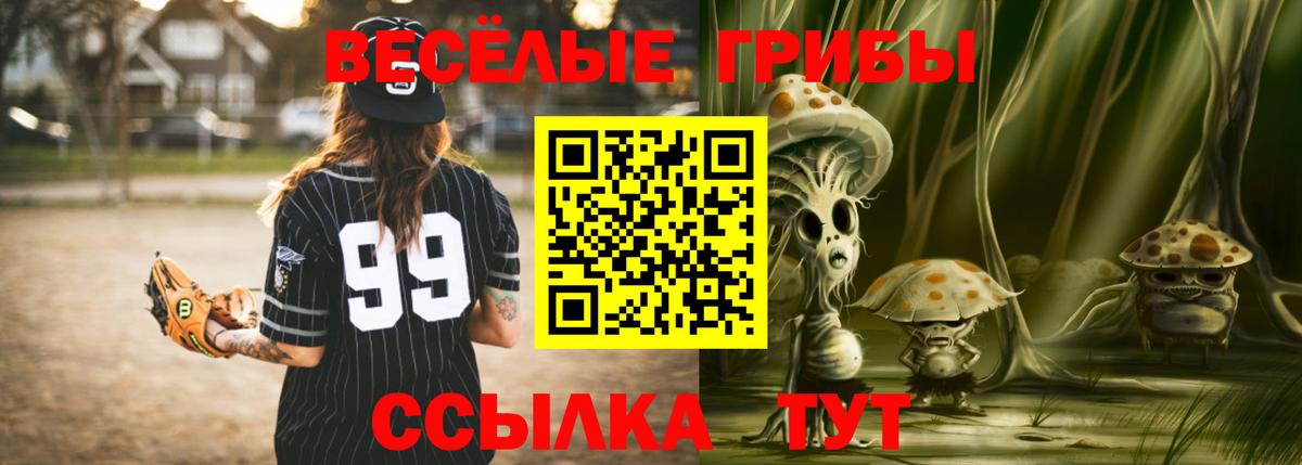 Гатчина  Галлюциногенные грибы Psilocybine cubensis  Псилоцибиновые грибы мухоморы  Вход с VPN 